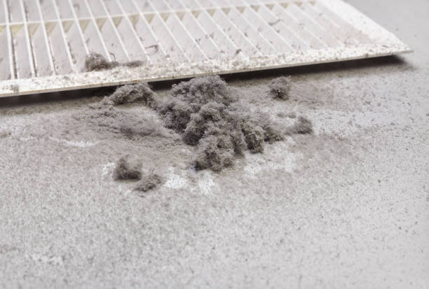 Best HVAC Maintenance and Cleaning  in Moss Bluff, LA