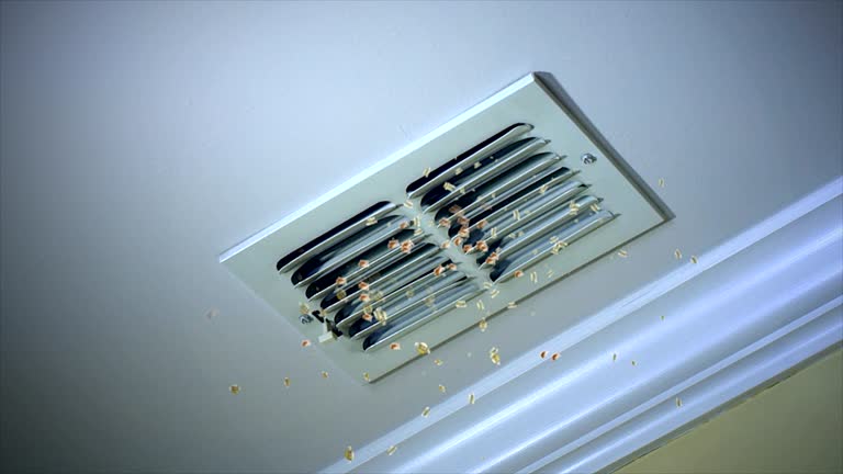 Best HVAC System Cleaning  in Moss Bluff, LA