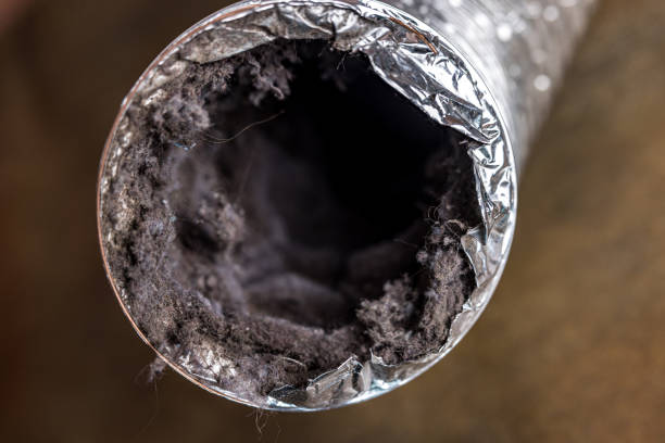 Best Ventilation Cleaning Services  in Moss Bluff, LA