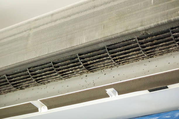 Best Residential Air Duct Cleaning  in Moss Bluff, LA